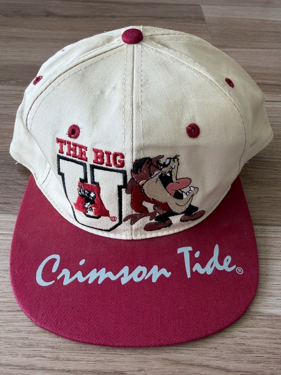 Other - 90’s University of Alabama Looney Tunes Taz SnapBack Hat